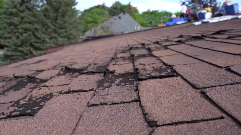 Roof Coating Services in Trussville, AL